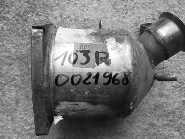 Obraz katalizatora 103R-0021968